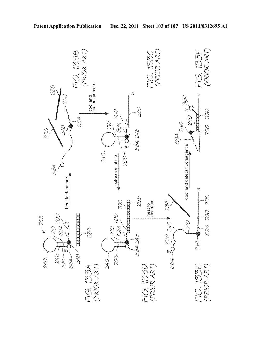 LOC DEVICE WITH HYBRIDIZATION CHAMBER ARRAY WITH POSITIVE CONTROL CHAMBER     CONTAINING ELECTROCHEMILUMINESCENT REPORTER - diagram, schematic, and image 104