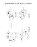 LOC DEVICE FOR ELECTROCHEMILUMINESCENT DETECTION OF TARGET NUCLEIC ACID     SEQUENCES WITH CALIBRATED PHOTODETECTION OF PROBES IN HYBRIDIZATION ARRAY diagram and image