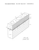 MICROFLUIDIC DEVICE FOR RAPID PCR AMPLIFICATION diagram and image