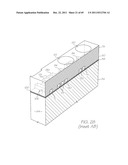 MICROFLUIDIC DEVICE FOR PCR AMPLIFICATION USING LOW PCR MIXTURE VOLUME diagram and image