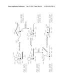 TEST MODULE FOR PCR AMPLIFICATION USING LOW PCR MIXTURE VOLUME diagram and image