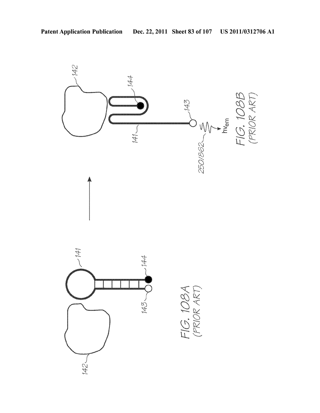 LOC DEVICE WITH HYBRIDIZATION CHAMBERS CONTAINING PROBES FOR     ELECTROCHEMILUMINESCENT DETECTION OF TARGET NUCLEIC ACID SEQUENCES IN A     FLUID AND CALIBRATION CHAMBER CONTAINING PROBES SEALED FROM THE FLUID - diagram, schematic, and image 84