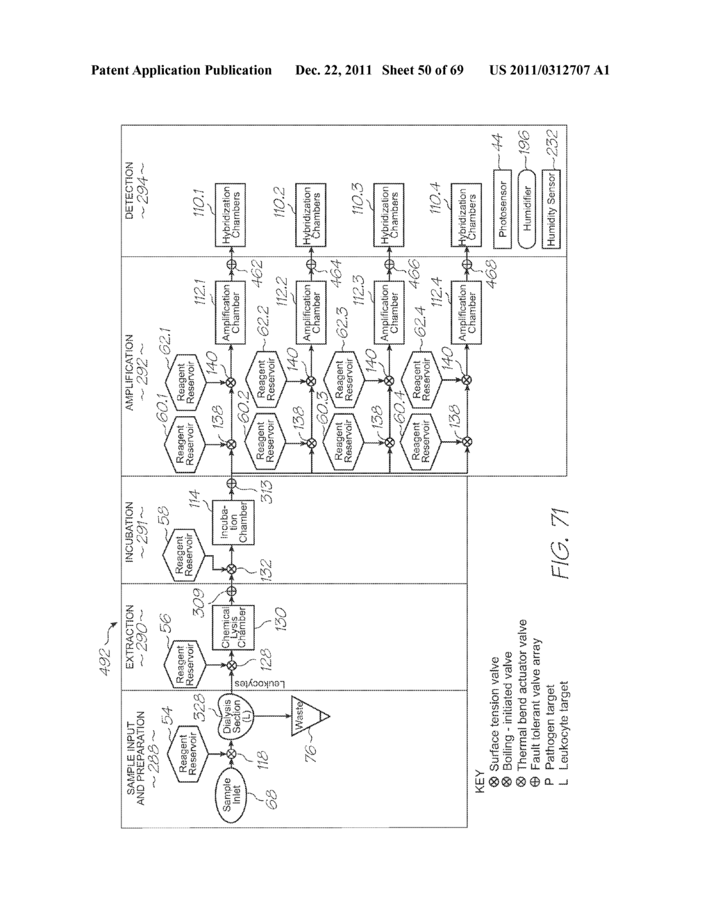 GENETIC ANALYSIS LOC FOR PCR AMPLIFICATION OF NUCLEIC ACIDS - diagram, schematic, and image 51