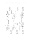 GENETIC ANALYSIS LOC FOR ISOTHERMAL AMPLIFICATION OF NUCLEIC ACIDS diagram and image