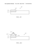 GENETIC ANALYSIS LOC FOR ISOTHERMAL AMPLIFICATION OF NUCLEIC ACIDS diagram and image