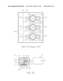 GENETIC ANALYSIS LOC FOR AMPLIFICATION OF NUCLEIC ACIDS USING DNA     POLYMERASES OF THERMOPHILES diagram and image