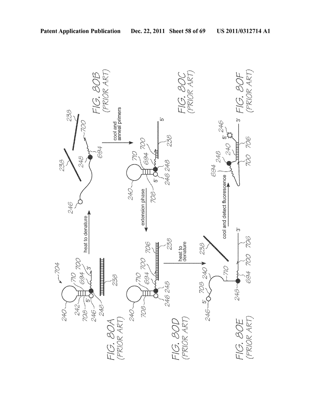 GENETIC ANALYSIS LOC FOR AMPLIFICATION OF NUCLEIC ACIDS USING DNA     POLYMERASES OF THERMOPHILES - diagram, schematic, and image 59