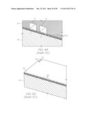 GENETIC ANALYSIS LOC FOR NUCLEIC ACID AMPLIFICATION USING RECOMBINASE     POLYMERASE AMPLIFICATION diagram and image