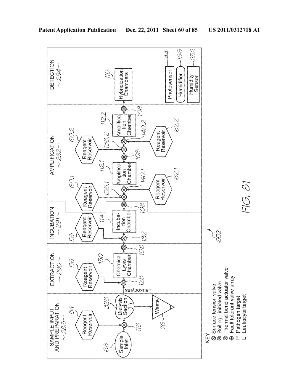 GENETIC ANALYSIS LOC FOR NUCLEIC ACID AMPLIFICATION USING RECOMBINASE     POLYMERASE AMPLIFICATION - diagram, schematic, and image 61