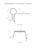 GENETIC ANALYSIS LOC FOR NUCLEIC ACID AMPLIFICATION USING RECOMBINASE     POLYMERASE AMPLIFICATION diagram and image