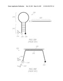 GENETIC ANALYSIS LOC FOR NUCLEIC ACID AMPLIFICATION USING NUCLEIC ACID     SEQUENCE BASED AMPLIFICATION diagram and image