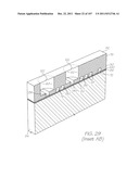 MICROFLUIDIC DEVICE WITH CHEMICAL LYSIS SECTION diagram and image