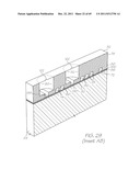 MICROFLUIDIC DEVICE WITH TOTAL REAGENT STORAGE diagram and image