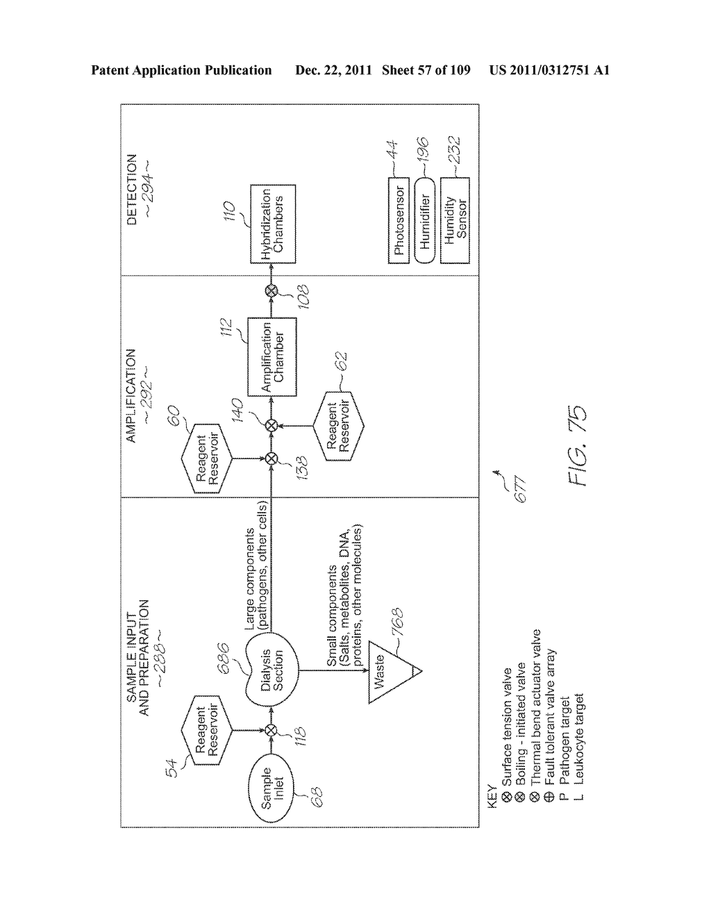 MICROFLUIDIC DEVICE FOR DETECTION OF MITOCHONDRIAL DNA VIA FLUORESCENCE     MODULATED BY HYBRIDIZATION - diagram, schematic, and image 58