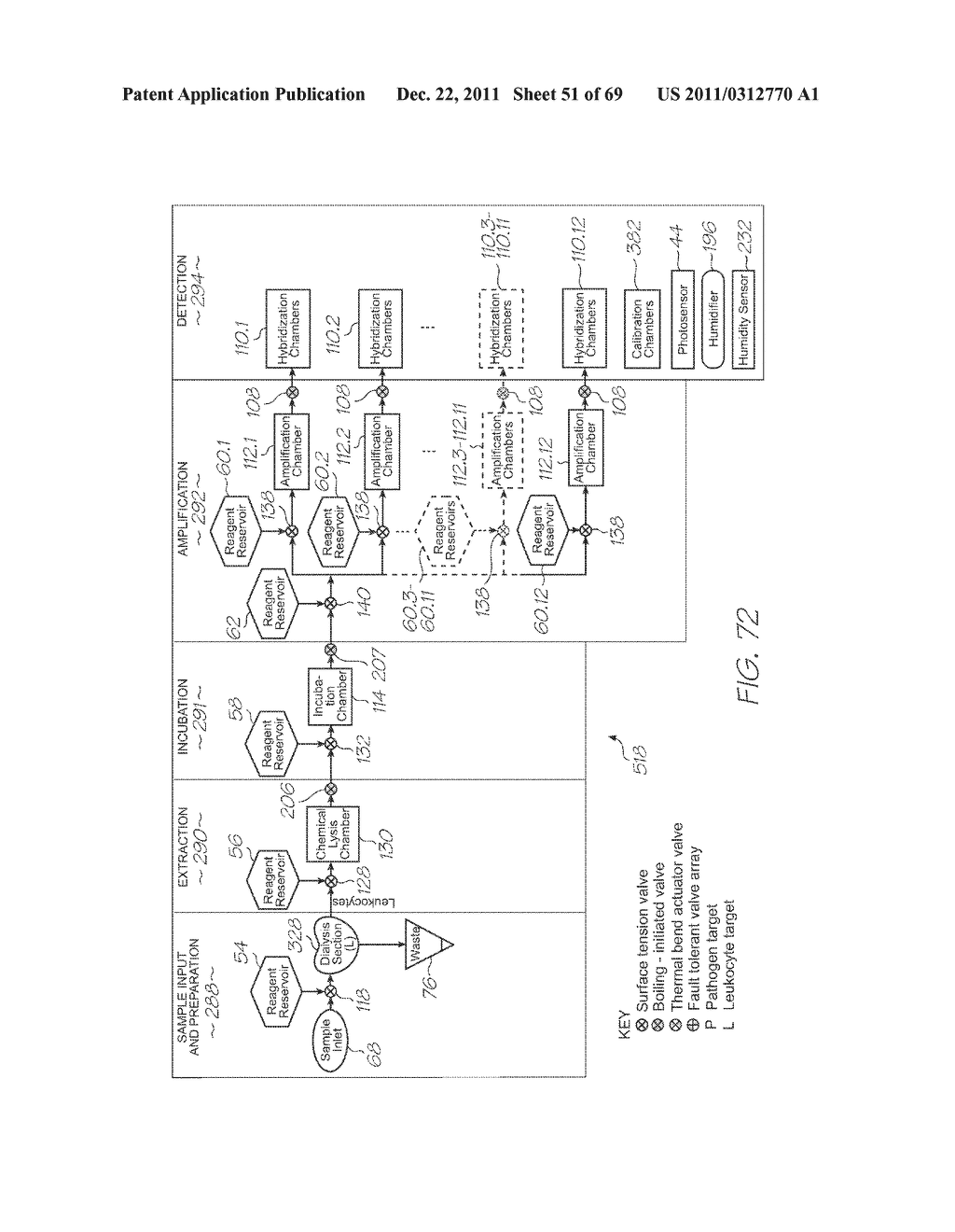 LOC FOR DETECTION OF HYBRIDIZATION OF NUCLEIC ACID SEQUENCES WITH NUCLEIC     ACID AMPLIFICATION USING PRIMERS COVALENTLY ATTACHED TO LINEAR PROBES - diagram, schematic, and image 52