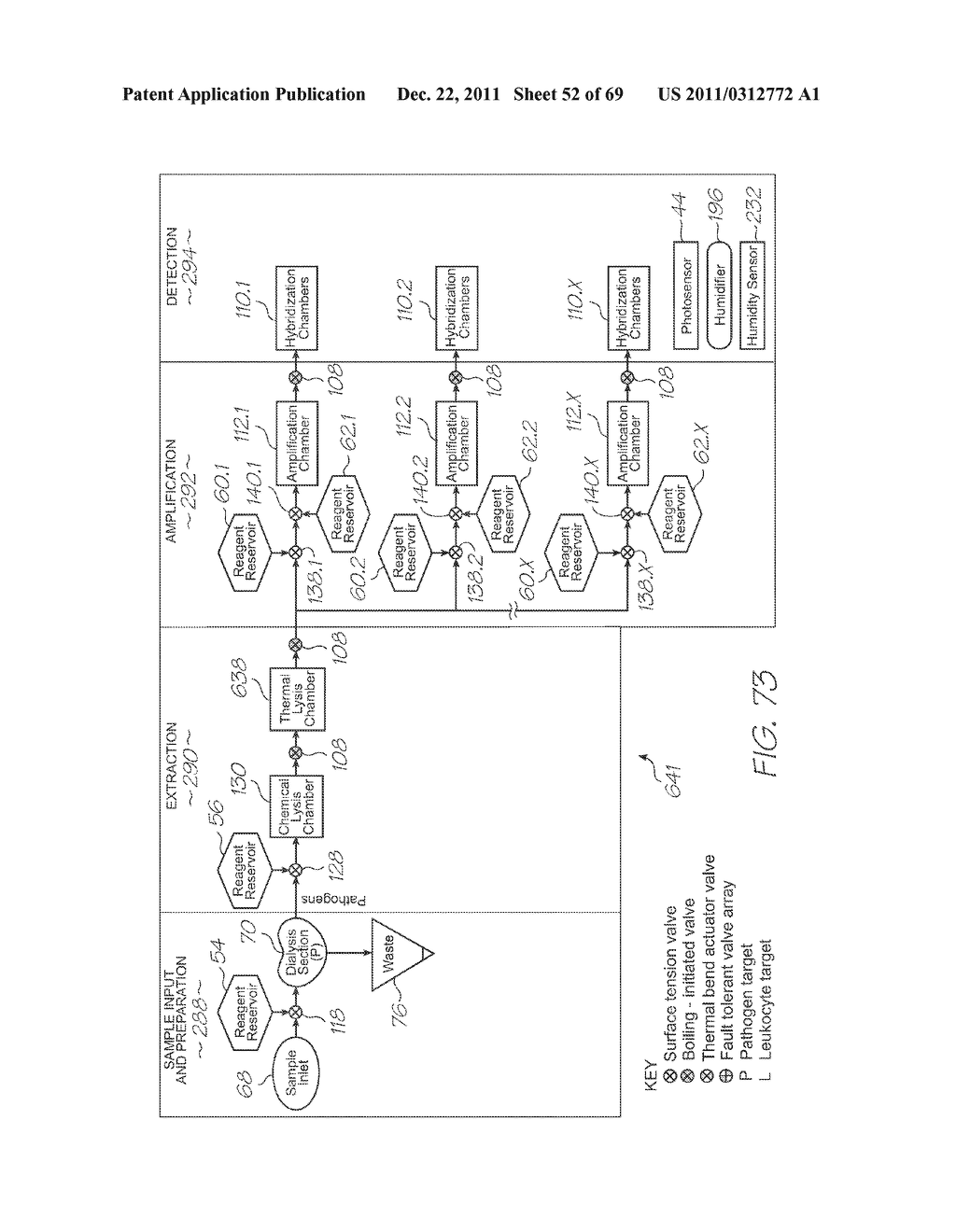 LOC FOR DETECTION OF HYBRIDIZATION OF NUCLEIC ACID SEQUENCES WITH PCR     AMPLIFICATION USING LINKER PRIMERS - diagram, schematic, and image 53