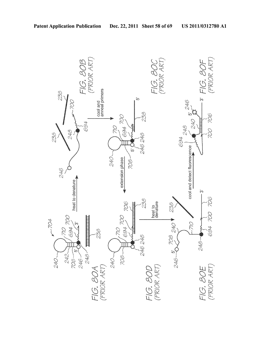 GENETIC ANALYSIS LOC WITH HYBRIDIZATION ARRAY WITH NEGATIVE CONTROL     CHAMBERS INCORPORATING PROBES WITH NO REPORTERS - diagram, schematic, and image 59