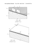 MICROFLUIDIC TEST MODULE WITH LOW MASS OF PROBES diagram and image