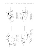 LOC DEVICE FOR ELECTROCHEMILUMINESCENT DETECTION OF TARGET SEQUENCES WITH     ELECTRODES PROFILED FOR GREATER PERIPHERAL EDGE LENGTH diagram and image