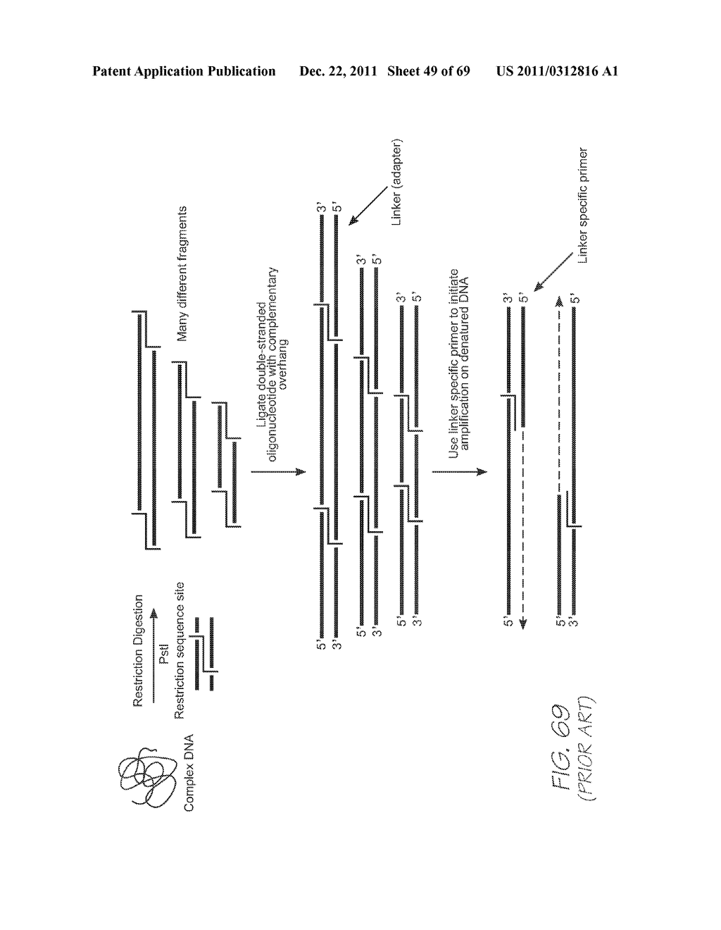 TEST MODULE WITH LED FOR SIMULTANEOUS EXCITATION OF OLIGONUCLEOUTIDE     PROBES - diagram, schematic, and image 50