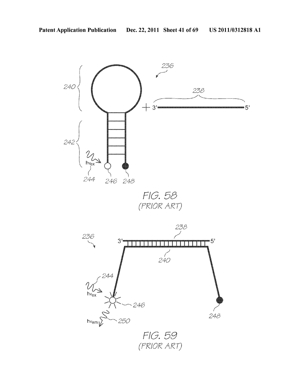 TEST MODULE WITH EXCITATION LIGHT AND LENS FOR SIMULTANEOUS EXCITATION OF     OLIGONUCLEOUTIDE PROBES - diagram, schematic, and image 42