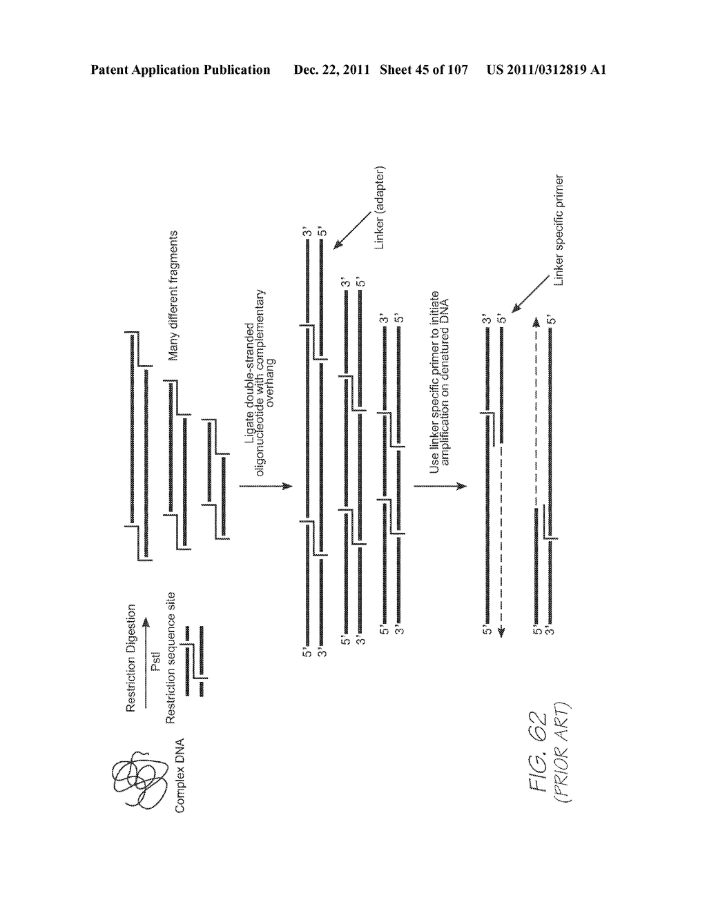 LOC DEVICE FOR DETECTING TARGET NUCLEIC ACID SEQUENCES USING     ELECTROCHEMILUMINESCENCE OF A LUMINOPHORE IN THE PRESENCE OF AN     ELECTROCHEMICAL COREACTANT - diagram, schematic, and image 46