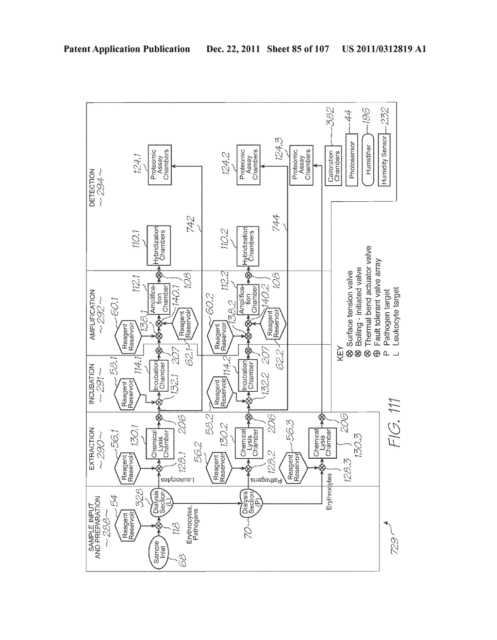 LOC DEVICE FOR DETECTING TARGET NUCLEIC ACID SEQUENCES USING     ELECTROCHEMILUMINESCENCE OF A LUMINOPHORE IN THE PRESENCE OF AN     ELECTROCHEMICAL COREACTANT - diagram, schematic, and image 86