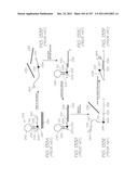 GENETIC ANALYSIS LOC DEVICE FOR ELECTROCHEMILUMINESCENT DETECTION OF     TARGET NUCLEIC ACID SEQUENCES diagram and image