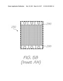 GENETIC ANALYSIS LOC DEVICE FOR ELECTROCHEMILUMINESCENT DETECTION OF     TARGET NUCLEIC ACID SEQUENCES diagram and image