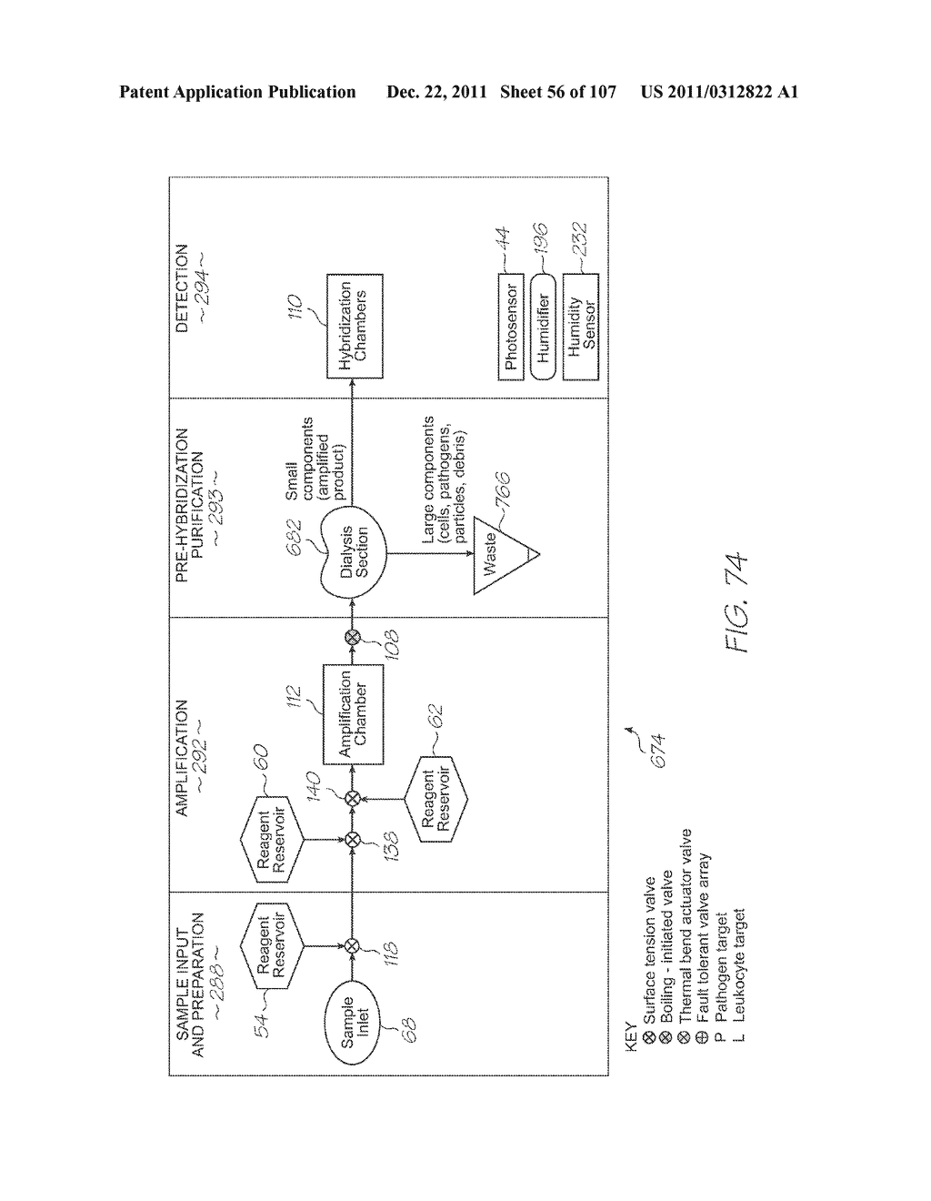 GENETIC ANALYSIS LOC DEVICE FOR ELECTROCHEMILUMINESCENT DETECTION OF     TARGET NUCLEIC ACID SEQUENCES - diagram, schematic, and image 57