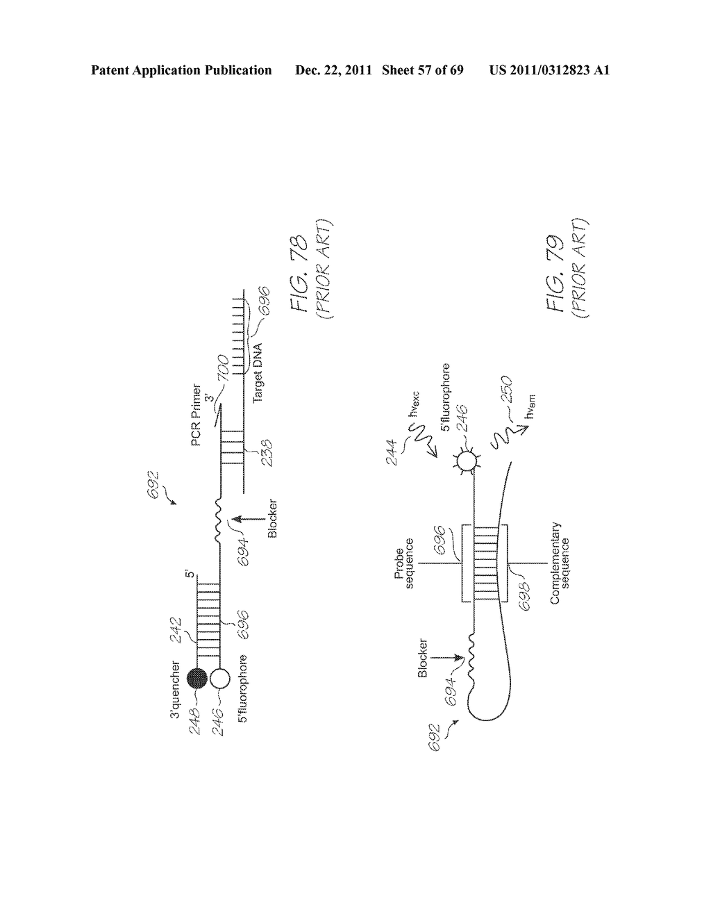 TEST MODULE WITH EXCITATION LIGHT AND MIRRORS FOR SIMULTANEOUS EXCITATION     OF OLIGONUCLEOUTIDE PROBES - diagram, schematic, and image 58