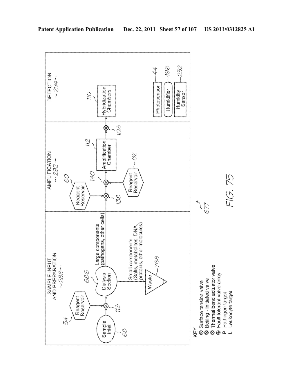 LOC DEVICE FOR ELECTROCHEMILUMINESCENT DETECTION WITH ELECTRODE PAIRS     HAVING COMPLEMENTARY AND MUTUALLY INTERDIGITATED FINGER FORMATIONS - diagram, schematic, and image 58