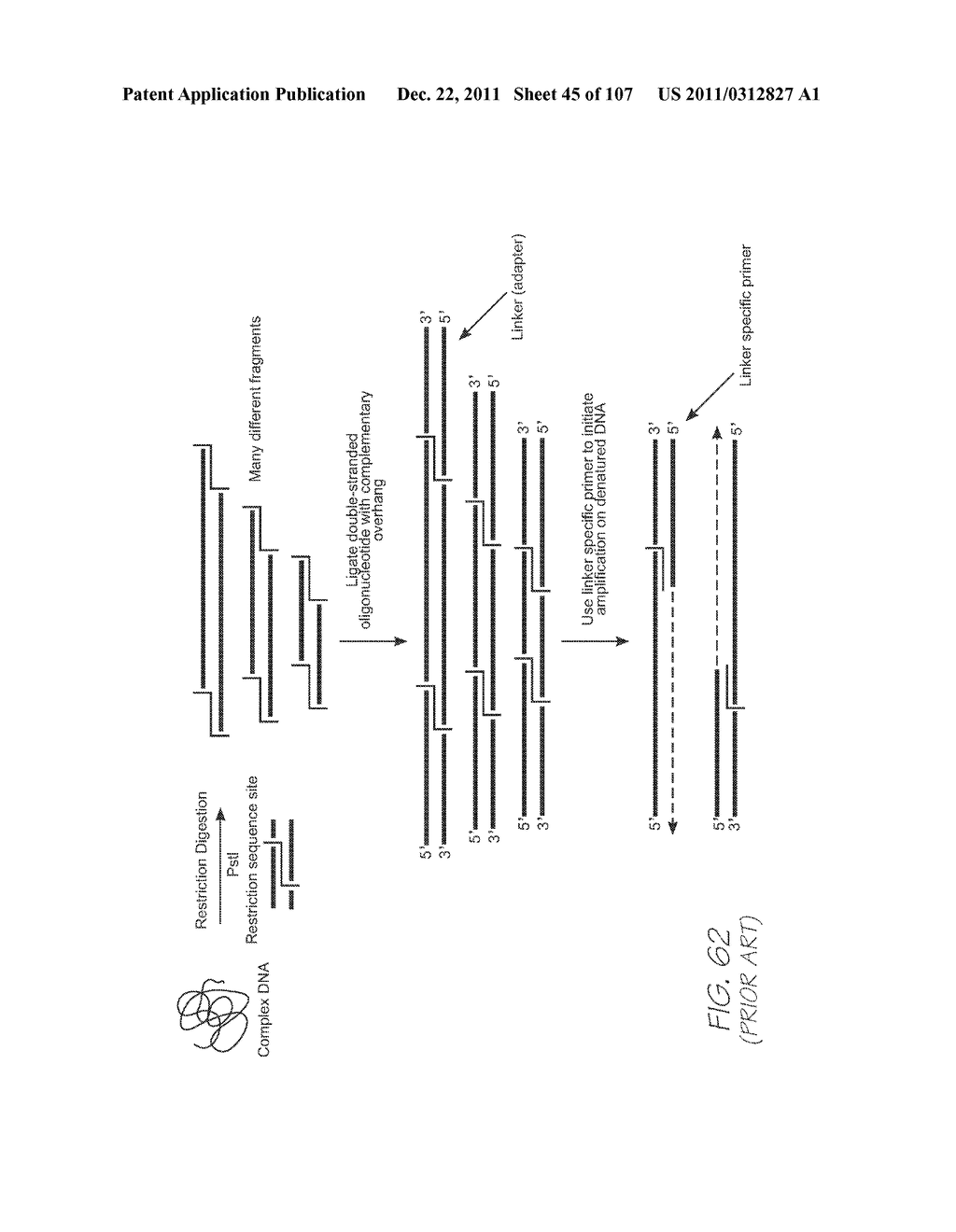 GENETIC ANALYSIS LOC DEVICE FOR DETECTION OF TARGET SEQUENCES WITH     ELECTROCHEMILUMINESCENT LUMINOPHORE AND FUNCTIONAL MOIETY FOR QUENCHING     PHOTON EMISSIONS - diagram, schematic, and image 46