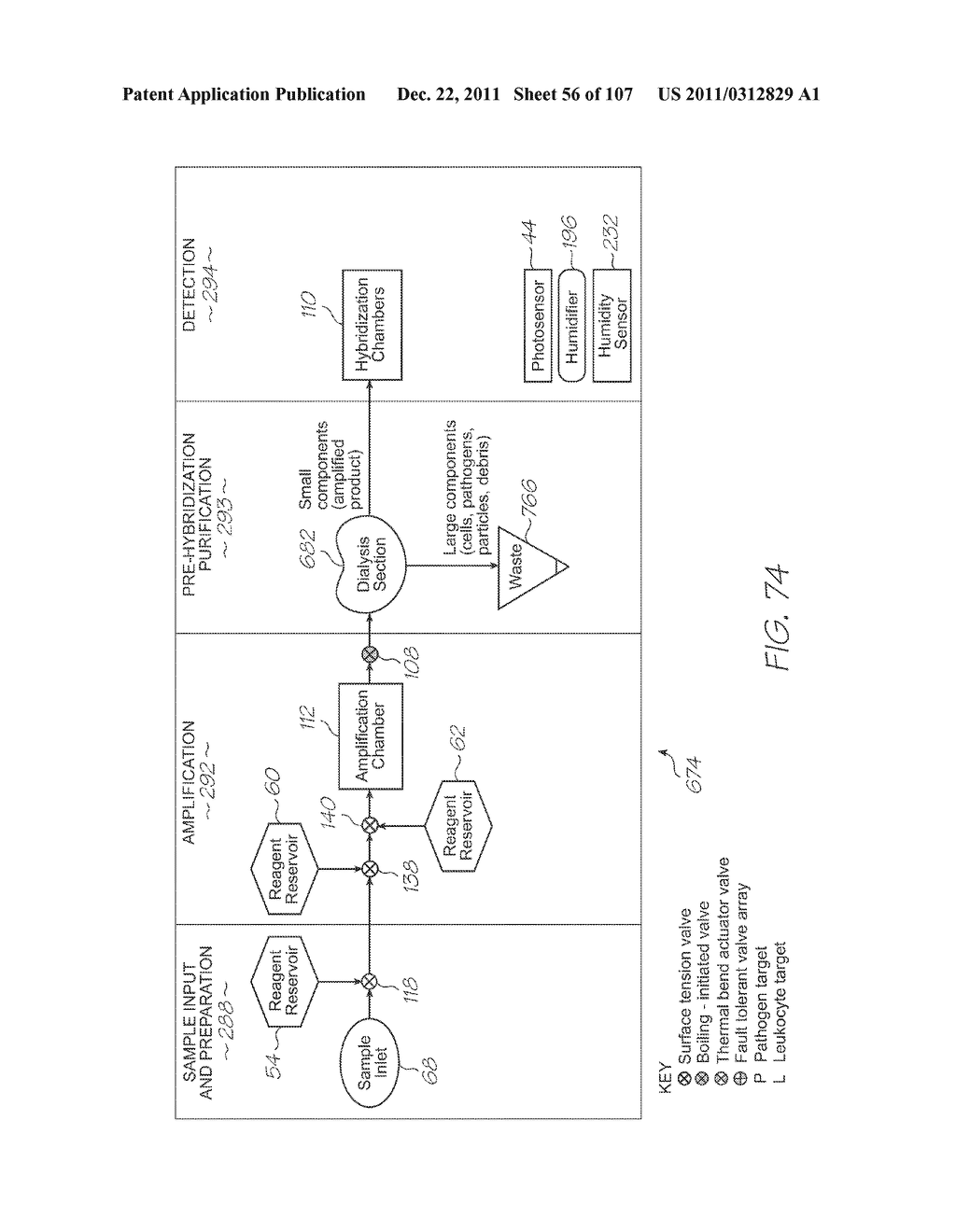 LOC DEVICE FOR GENETIC ANALYSIS AND ELECTROCHEMILUMINESCENT DETECTION OF     TARGET SEQUENCES - diagram, schematic, and image 57