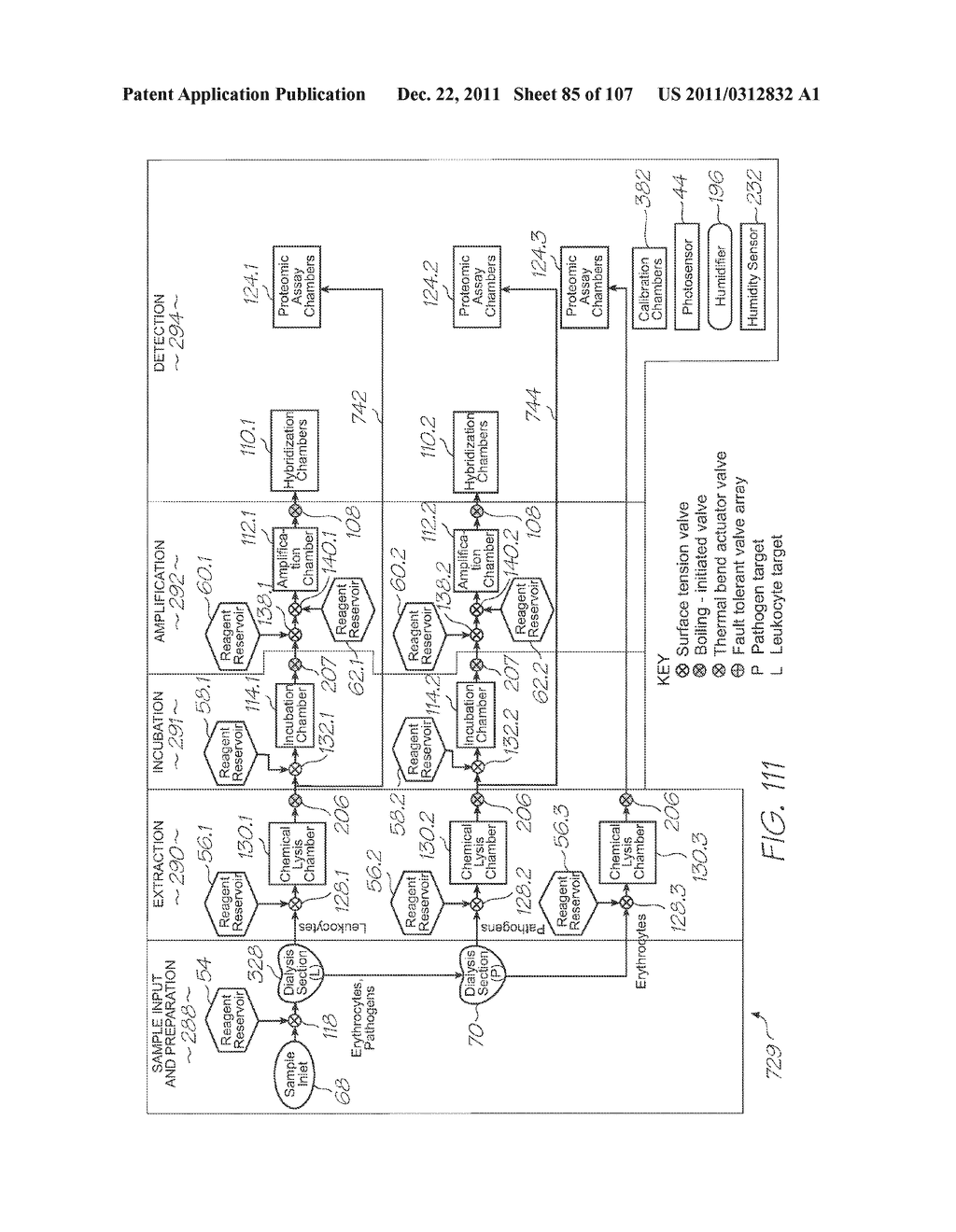 LOC DEVICE FOR DETECTION OF TARGET SEQUENCES WITH ELECTROCHEMILUMINESCENT     PROBES IN HYBRIDIZATION CHAMBERS - diagram, schematic, and image 86