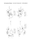 LOC DEVICE FOR ELECTROCHEMILUMINESCENT DETECTION USING A RUTHENIUM ORGANIC     COMPLEX diagram and image