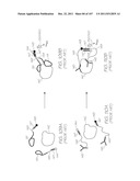 GENETIC ANALYSIS LOC DEVICE WITH ELECTROCHEMILUMINESCENT PROBES AND     INTEGRATED PHOTOSENSOR FOR DETECTION OF TARGET SEQUENCES diagram and image