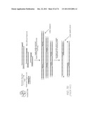 APPARATUS FOR DISPENSING REAGENTS, LOADING OLIGONUCLEOTIDE SPOTTING     DEVICES AND SPOTTING OLIGONUCLEOTIDE PROBES diagram and image