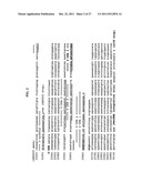 Method of determining types I, II, III, IV or V or methicillin-resistant     staphylococcus aureus (MRSA) in a biological sample diagram and image