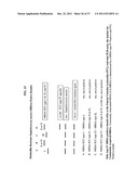 Method of determining types I, II, III, IV or V or methicillin-resistant     staphylococcus aureus (MRSA) in a biological sample diagram and image