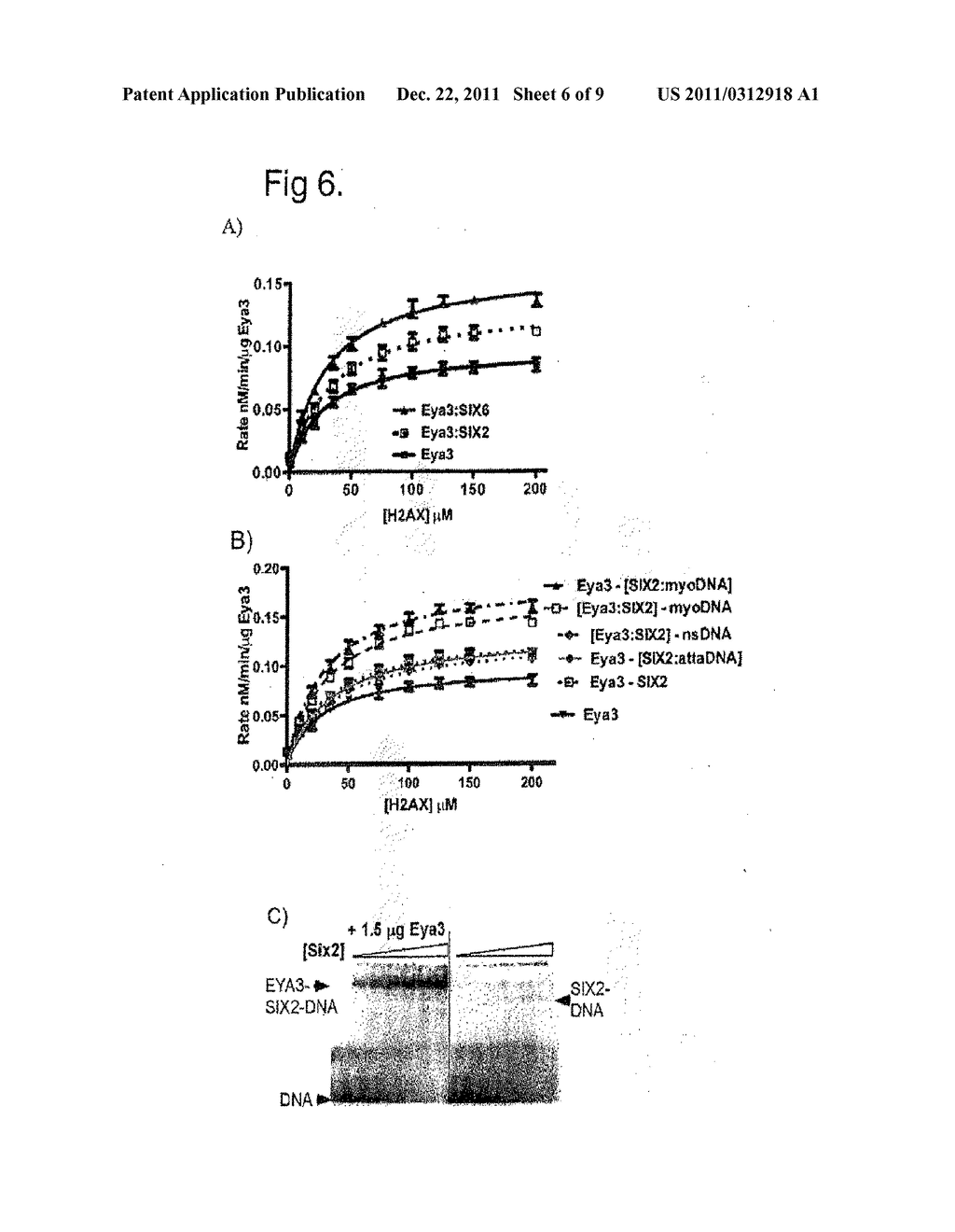 METHOD FOR IDENTIFYING AGENTS FOR INHIBITING CELL MOTILITY AND     INVASIVENESS - diagram, schematic, and image 07