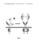 INHIBITORS OF TYROSINE KINASE RECEPTOR DIMERIZATION diagram and image