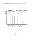 INHIBITORS OF TYROSINE KINASE RECEPTOR DIMERIZATION diagram and image