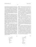 N-Myristoyl Transferase Inhibitors diagram and image