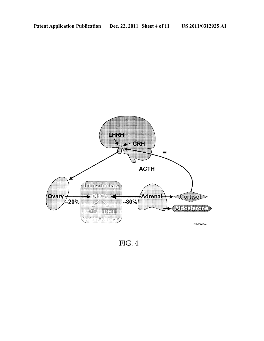 METHODS OF TREATING OR PREVENTING ESTROGEN-RELATED DISEASES - diagram, schematic, and image 05