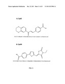 STAT3 INHIBITORS diagram and image