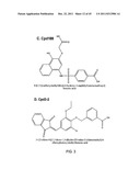 STAT3 INHIBITORS diagram and image