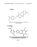 STAT3 INHIBITORS diagram and image