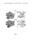 STAT3 INHIBITORS diagram and image