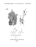 STAT3 INHIBITORS diagram and image